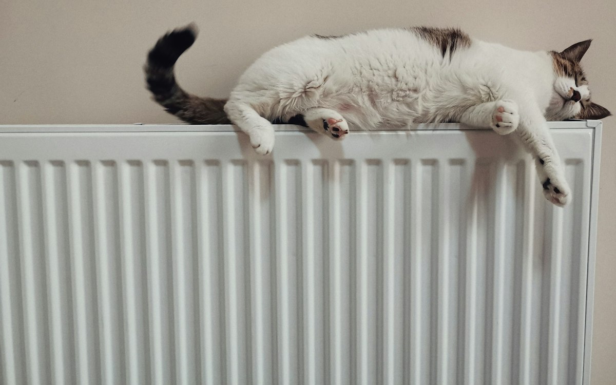 Cat stretched out on a warm white radiator