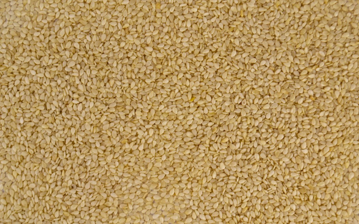 Close-up of golden sesame seeds